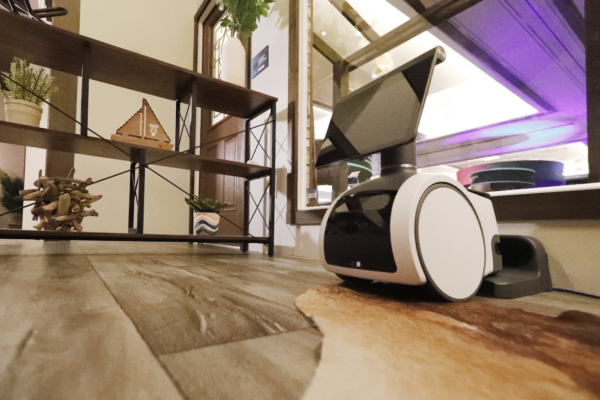 A small robot that rolls around you house for security