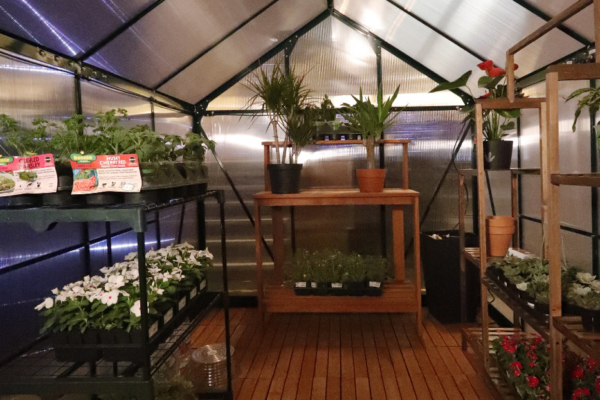 A greenhouse attached to the house with variouse plants inside
