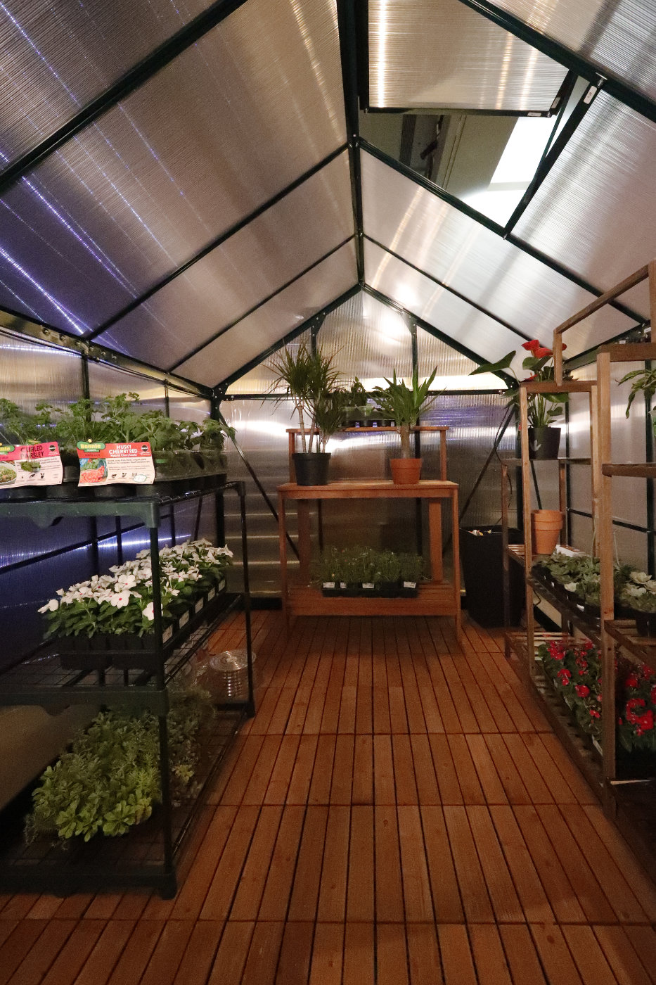 A greenhouse attached to the house with variouse plants inside